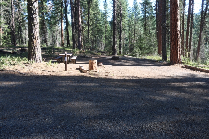 Camping at Cartwright Ridge Campground at Sagehen Reservoir.