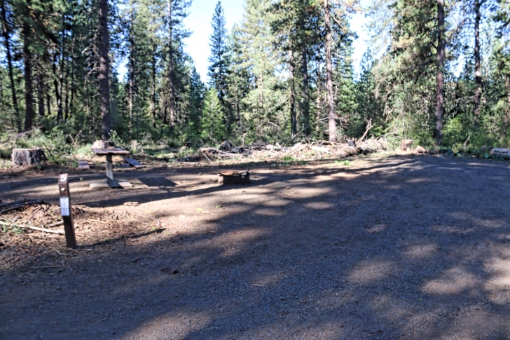 Camping at Cartwright Ridge Campground at Sagehen Reservoir.