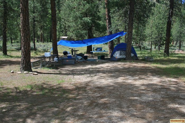 Chaparral Campground camping, campsite 10