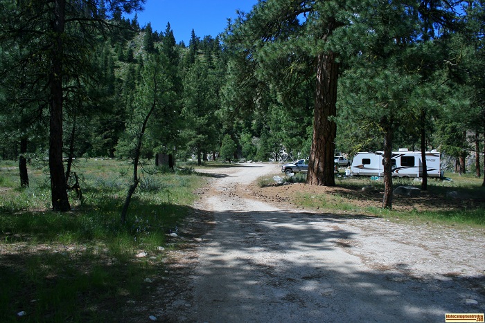 Chaparral Campground camping, view of part of the campground