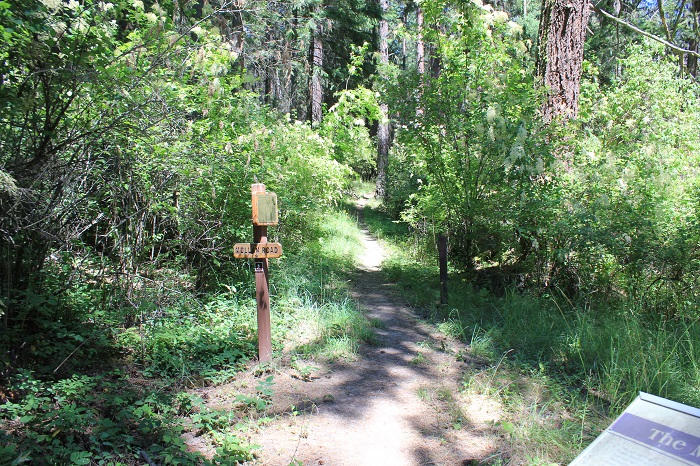 Chatcolet Campground, part of Heyburn State Park, signs in information.