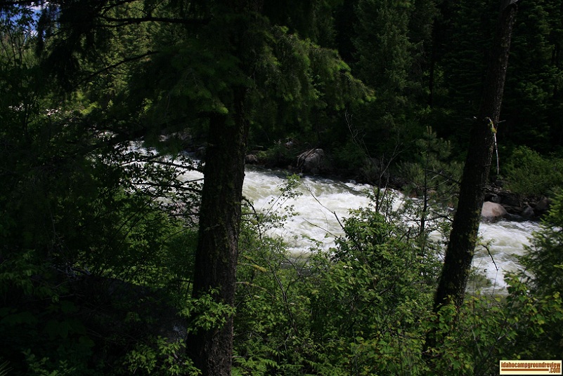 Cold Springs Campground