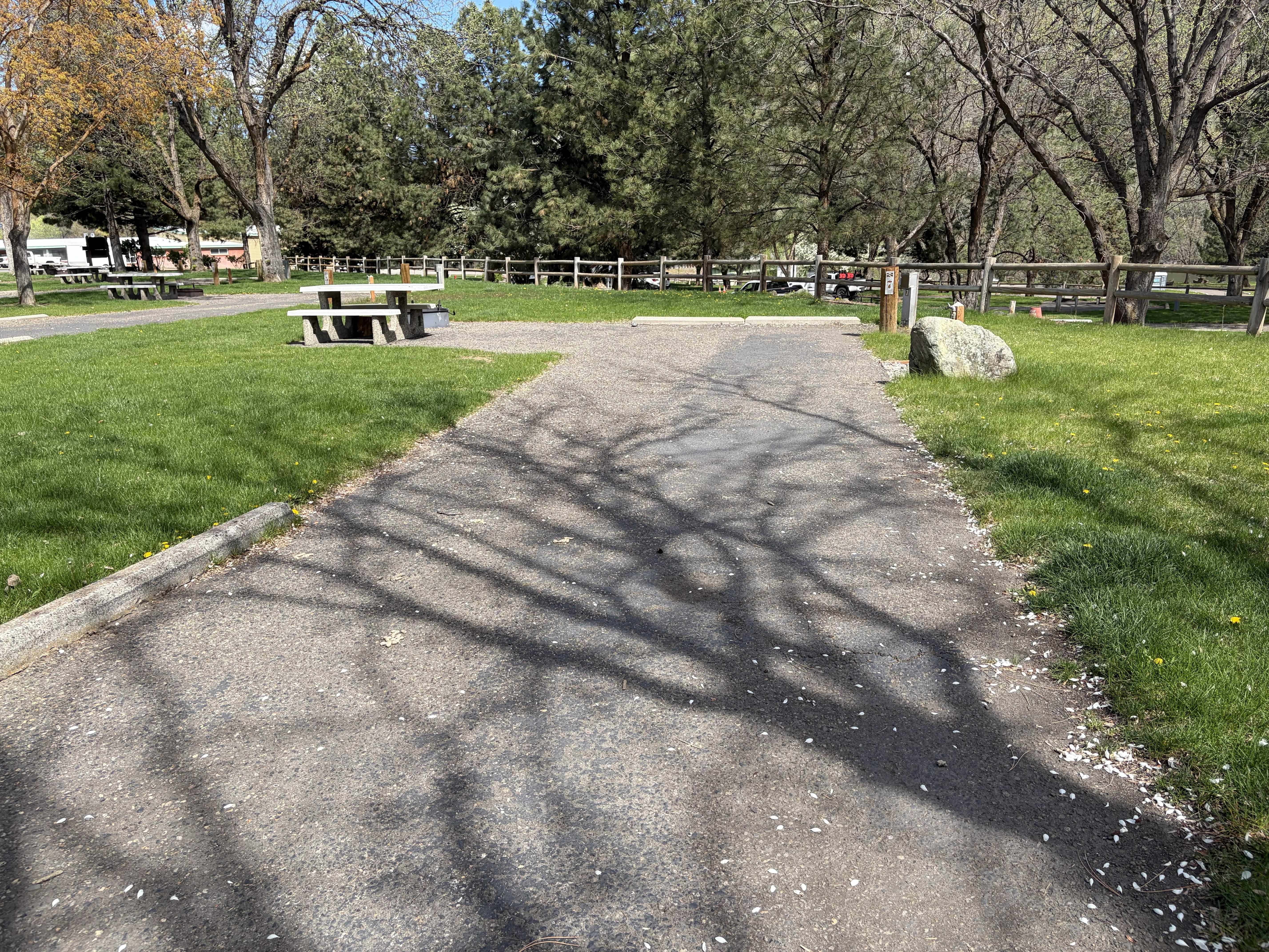 Cove Recreation Site - Campsites