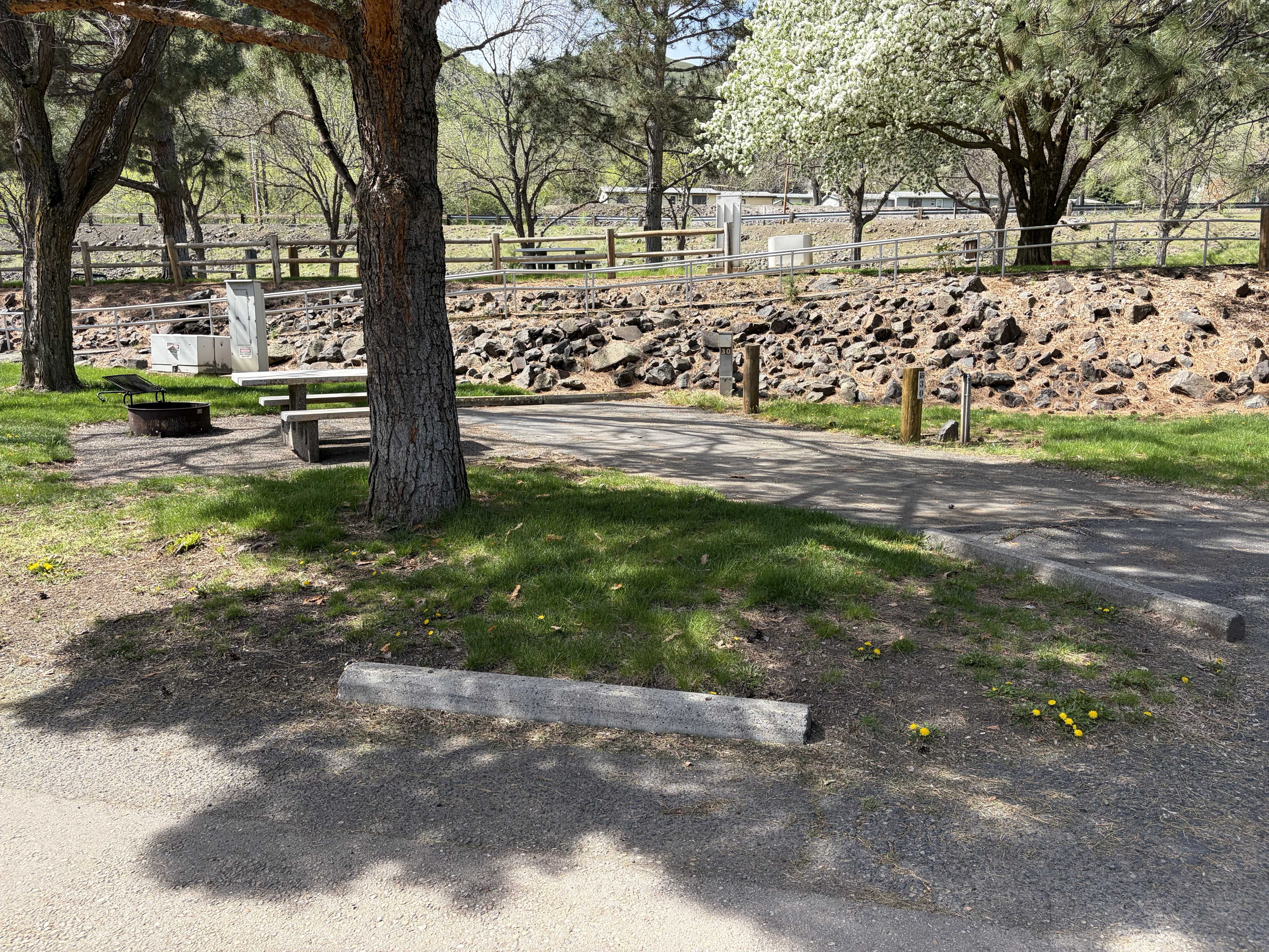 Copperfield Park Campsites