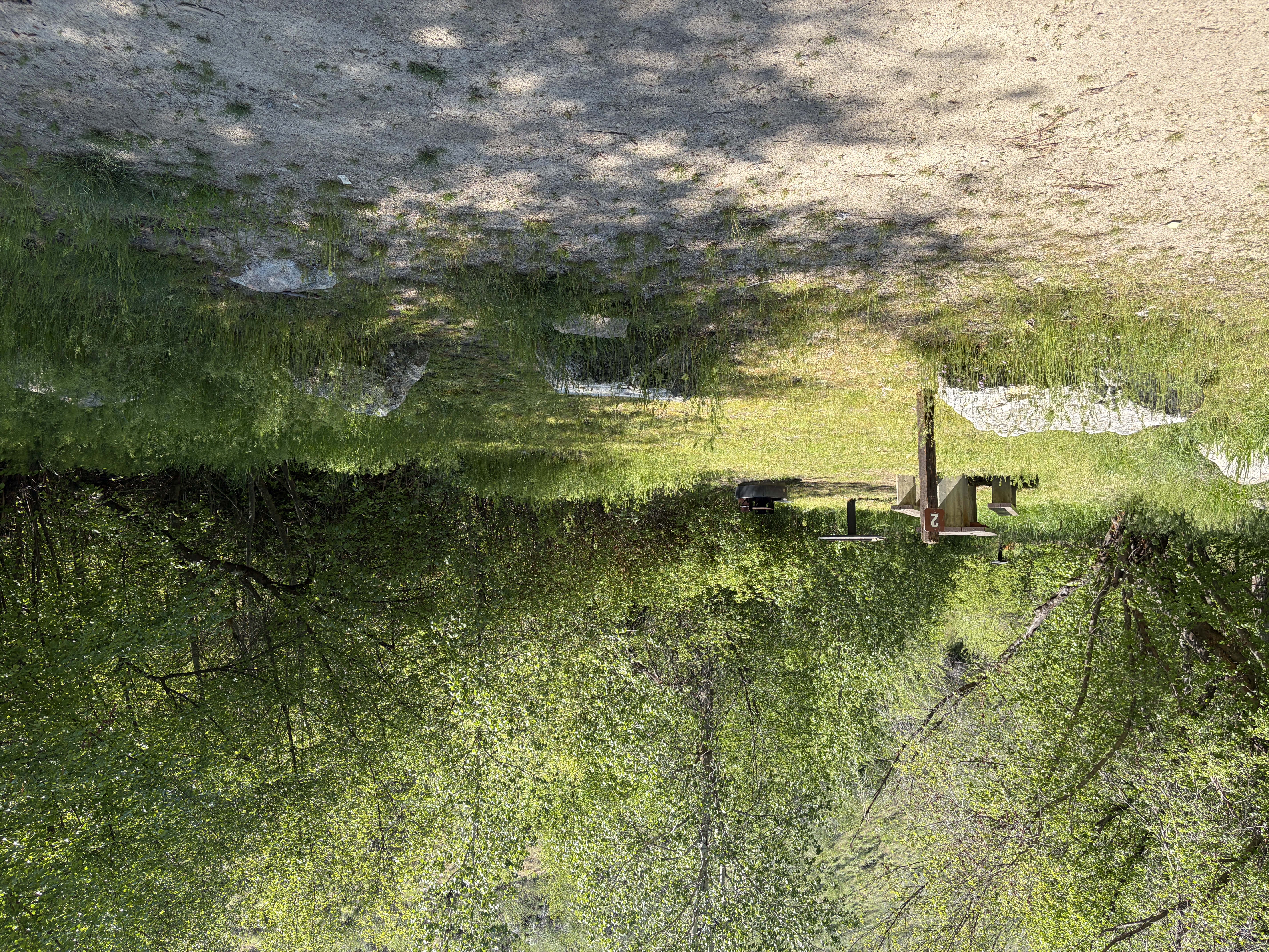 Cottonwood Forest Camp - Campsites
