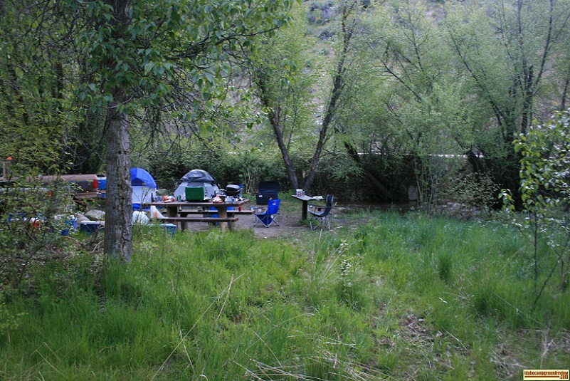 View of Camping site 1 in Cottonwood Forest Camp.
