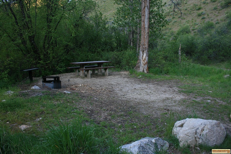 View of Cottonwood Forest Campsite 3.
