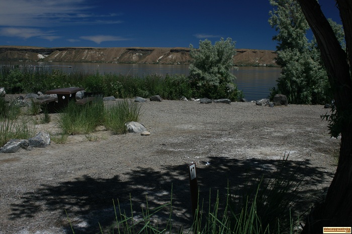 Cattonwood Park campsite #17.