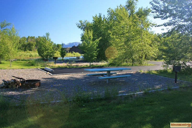 Here is a view of a typical site along the Salmon river in Cottonwood Recreation Site.
