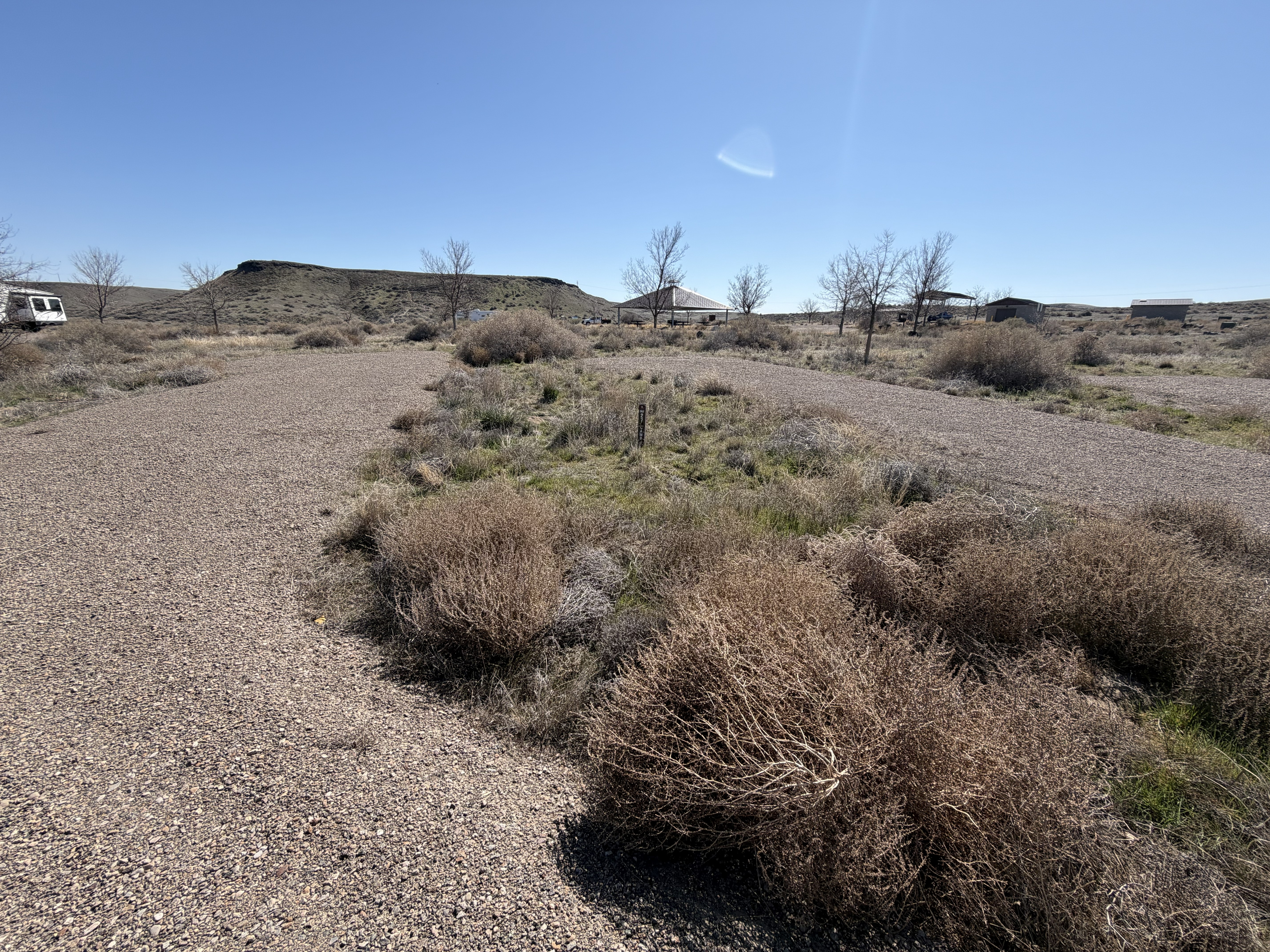 Cove Recreation Site - Campsites