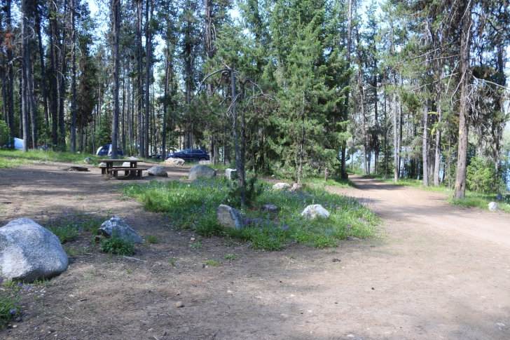 Camping at Cozy Cove Campground on Deadwood Reservoir