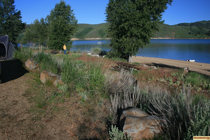 Campsite 8 in the foreground and 7 beyond.