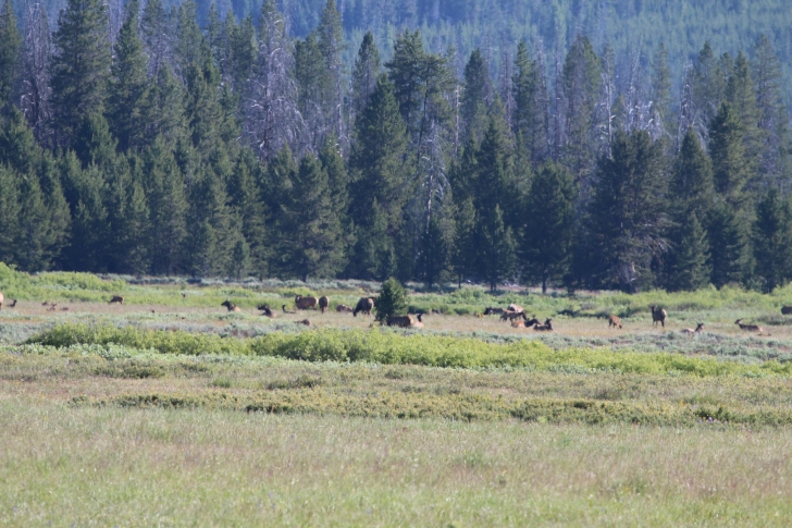 Camping at Deer Flat Campground in Idaho