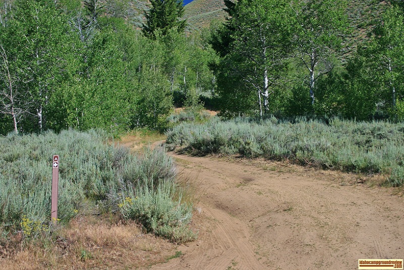 Deer Creek Campground near Ketchum, Idaho.