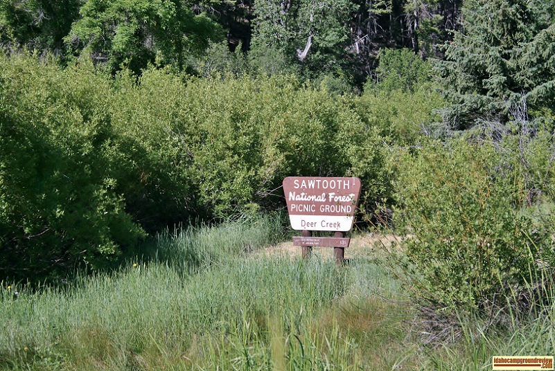 Deer Creek Campground near Ketchum, Idaho.