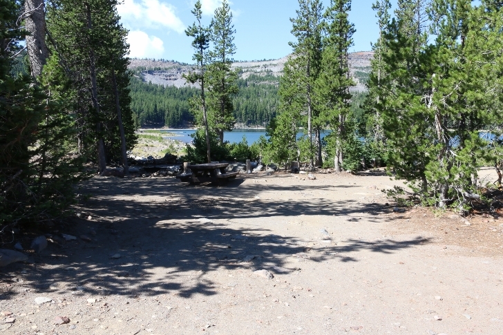 A picture of campsite number 1 in Oregons Driftwood Campground.