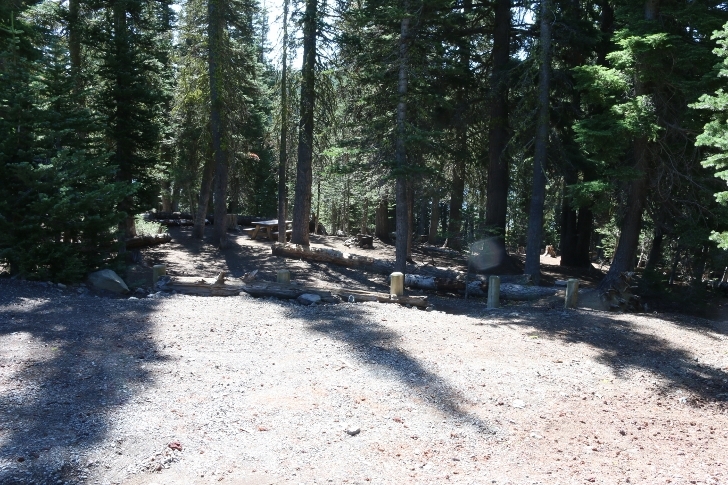 A picture of campsite number 13 in Oregons Driftwood Campground.