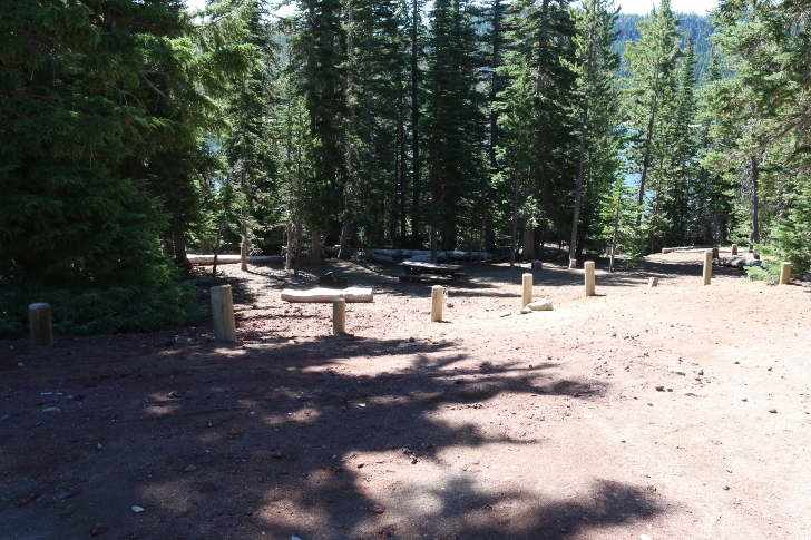 A picture of campsite 15 in Oregons Driftwood Campground.