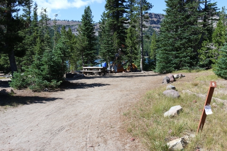 A picture of campsite number 5 in Oregons Driftwood Campground.