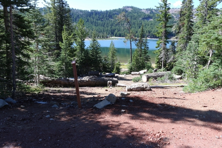 A picture of campsite number 7 in Oregons Driftwood Campground.