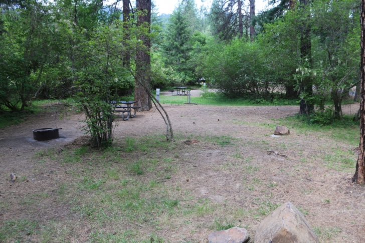 Campsite 51