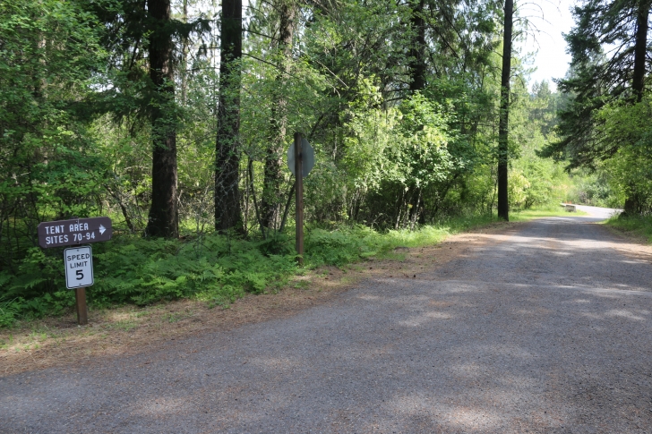 Dworshak State Park has a large tent camping area. It is on the far end of the Kokanee loop. Many sites are right on the lake while a few are hidden away from others.