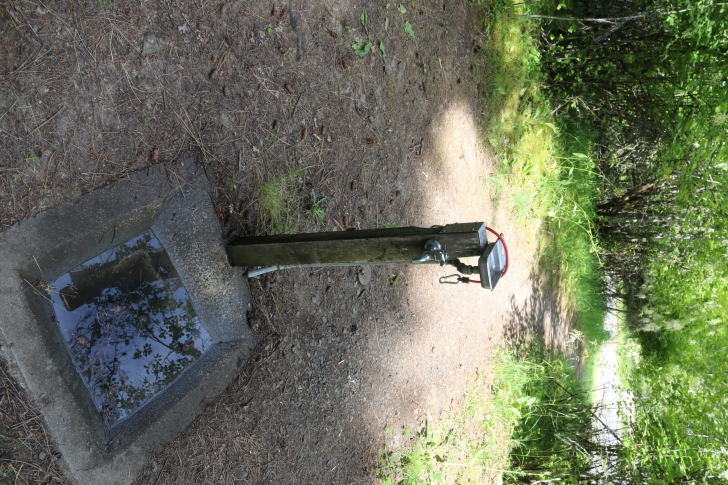 Drinking water is available.