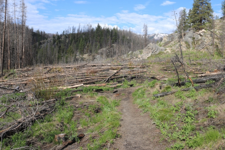 This area suffered through some major forest fires a few years ago.