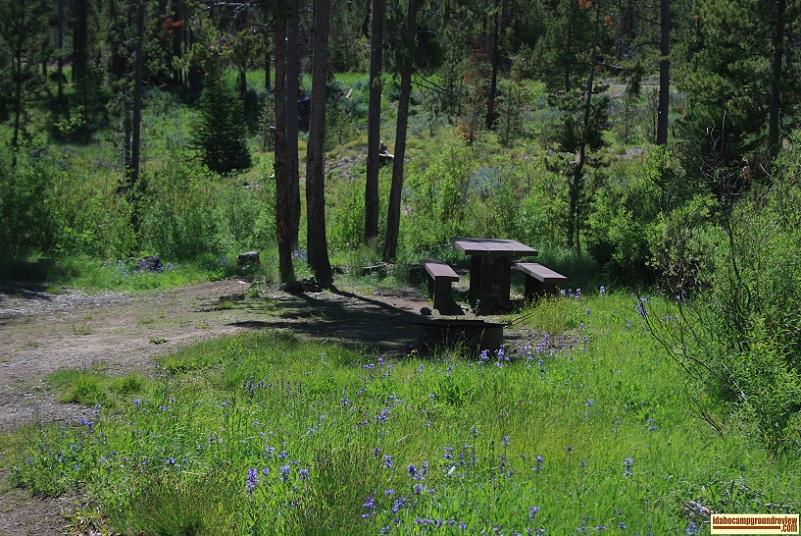 This is one of the camp sites in Eightmile Campground  on the Yankee Fork of the Salmon River NE of Stanley, Idaho.