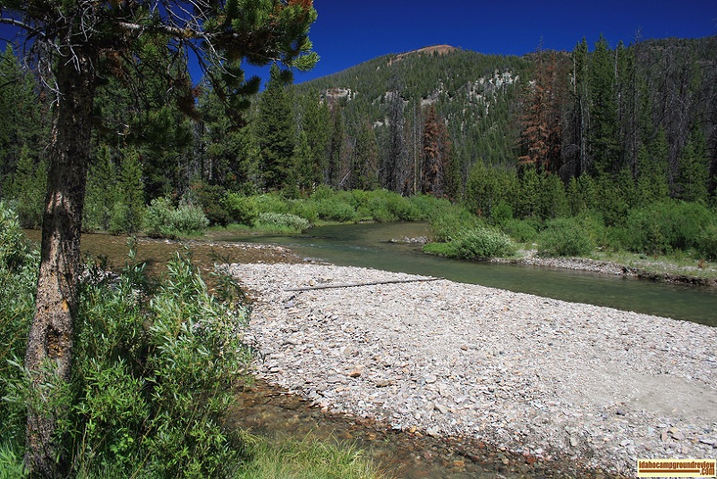 View o Yankee Fork of the Salmon River at Eightmile Campground.