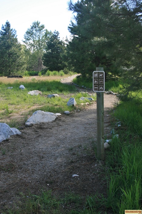 Elks Flat Campground Review, hiking trail