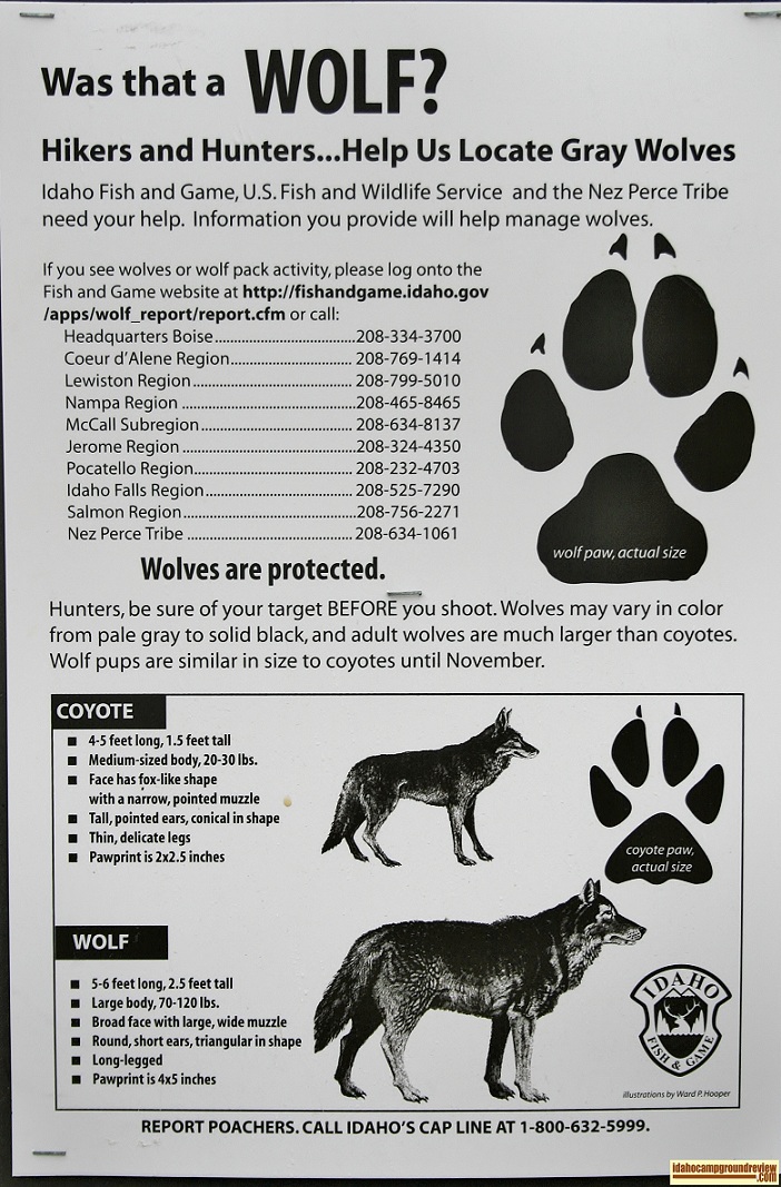 Wolf info posted at Evans Creek Campground on Anderson Ranch Reservoir. For all of you who love camping in Idaho.