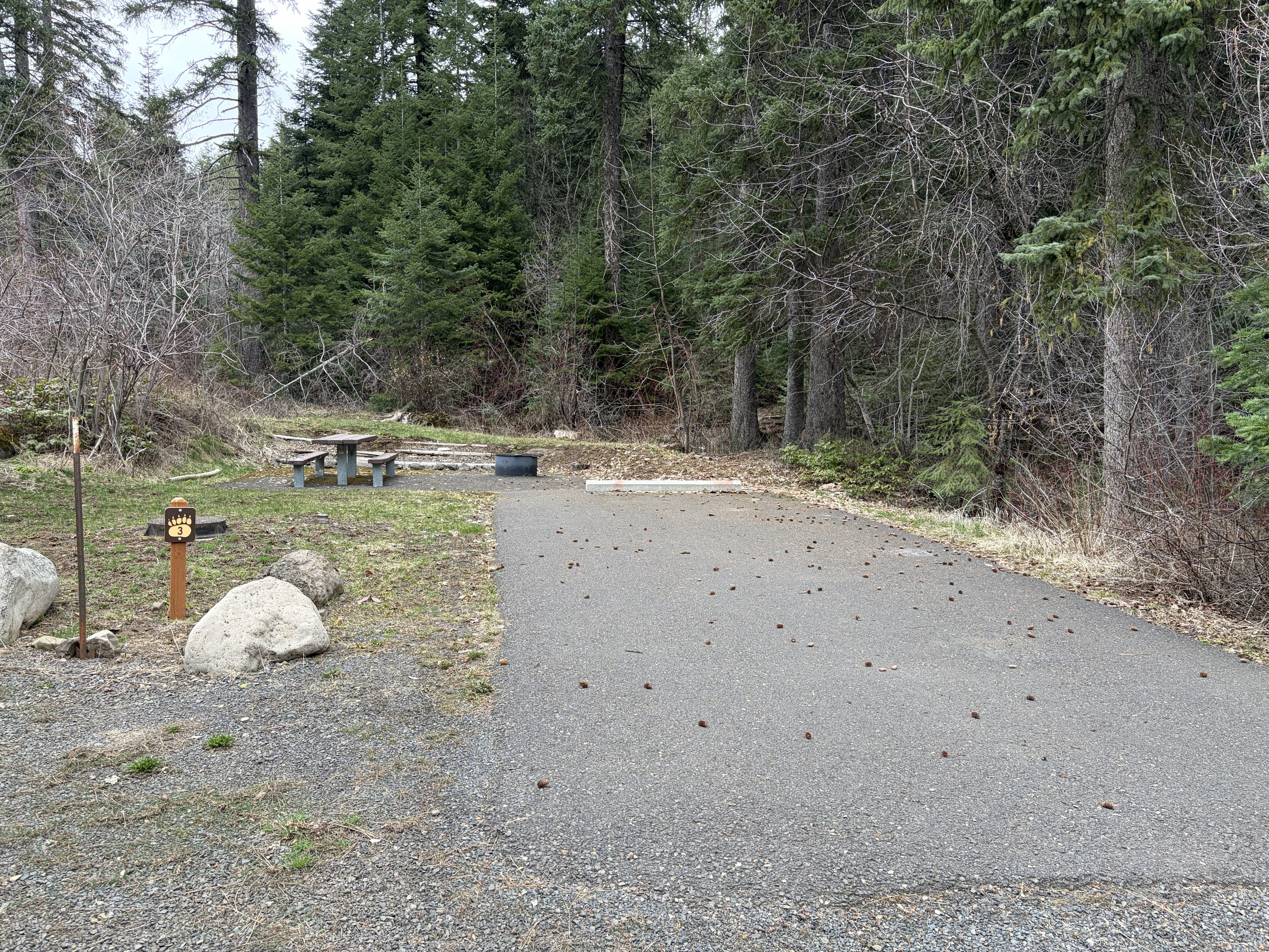 Evergreen Campground Campsites