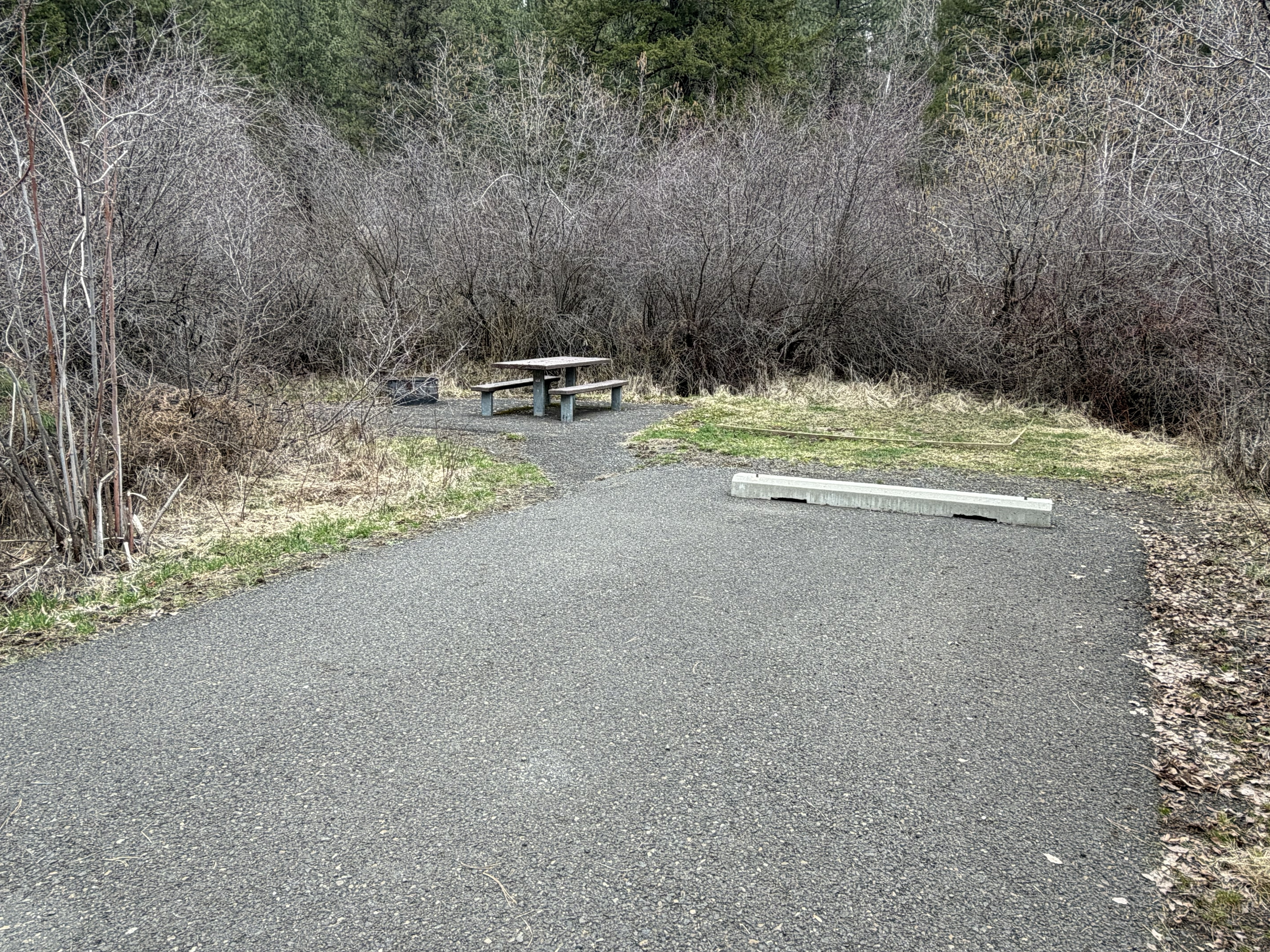 Evergreen Campground Campsites