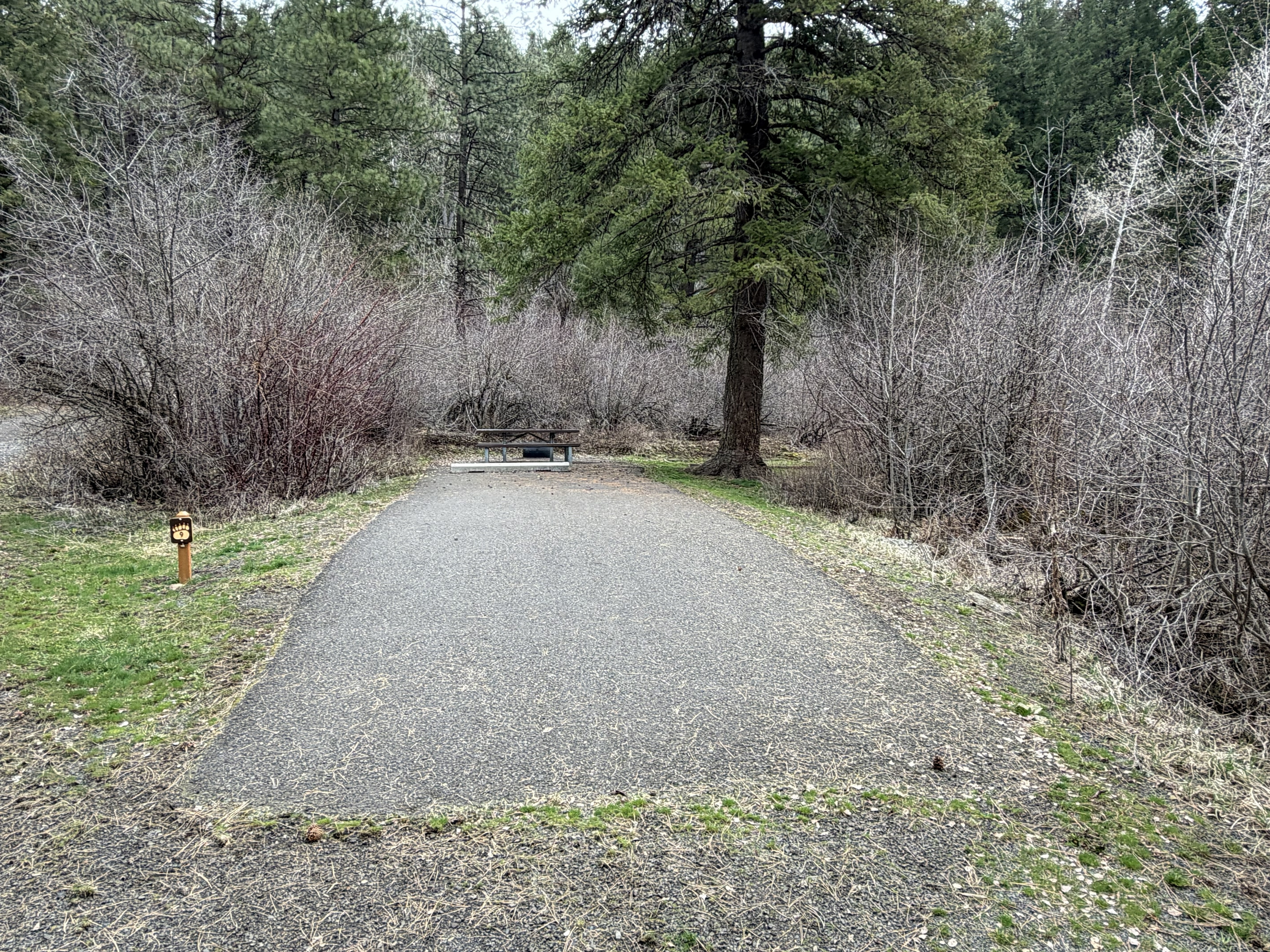 Evergreen Campground Campsites