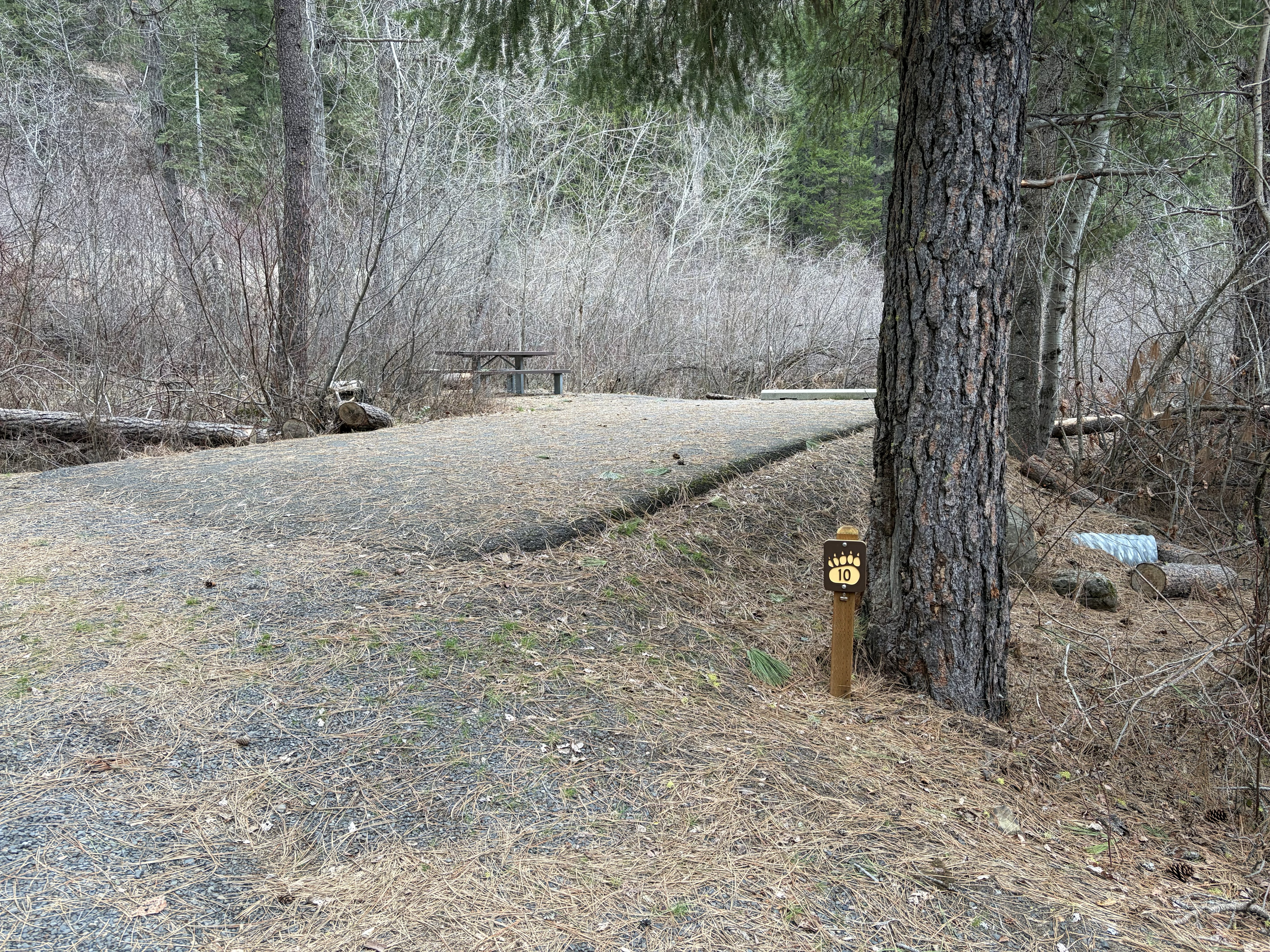 Evergreen Campground Campsites