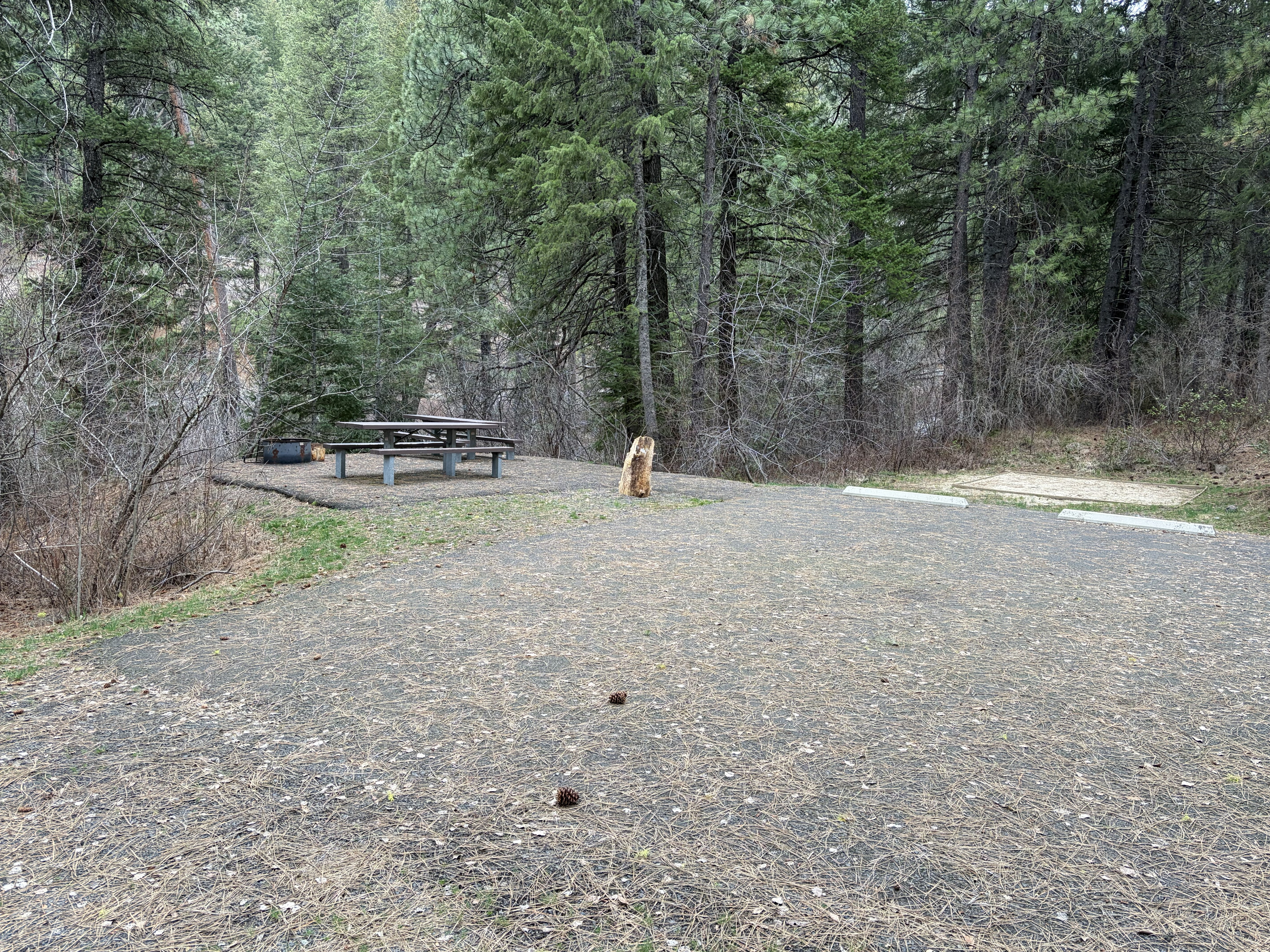 Evergreen Campground Campsites