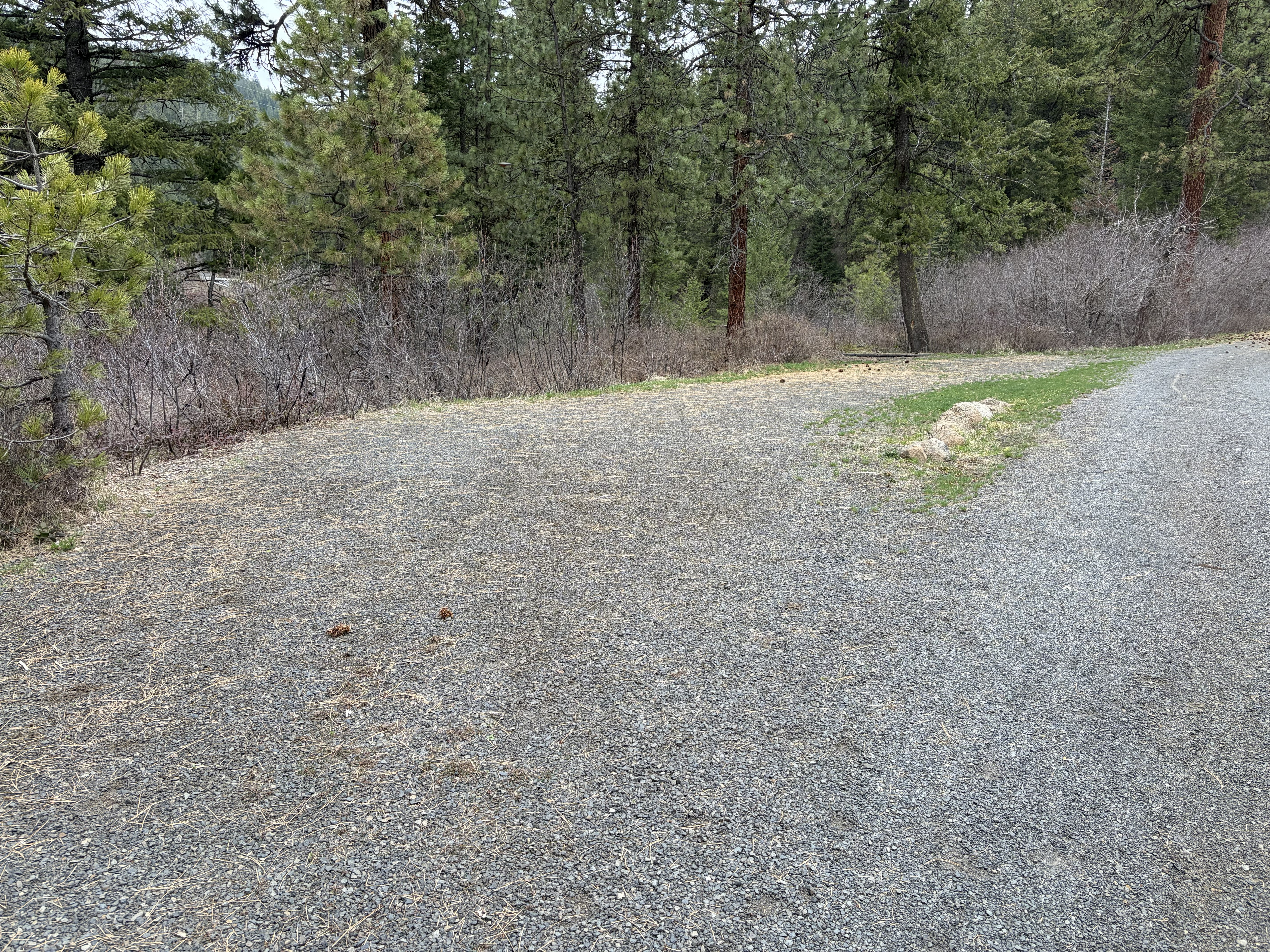 Evergreen Campground Campsites