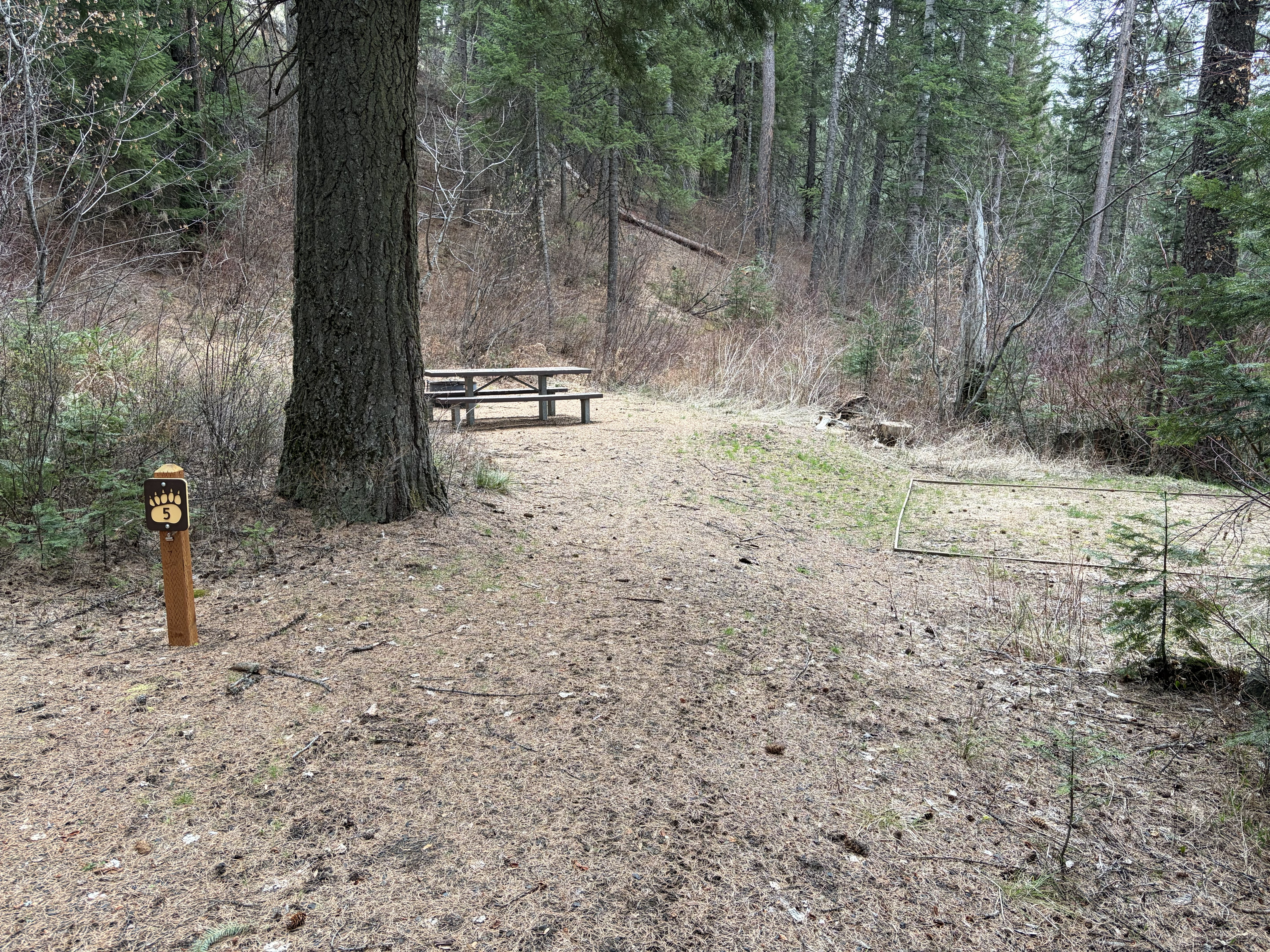 Evergreen Campground Campsites