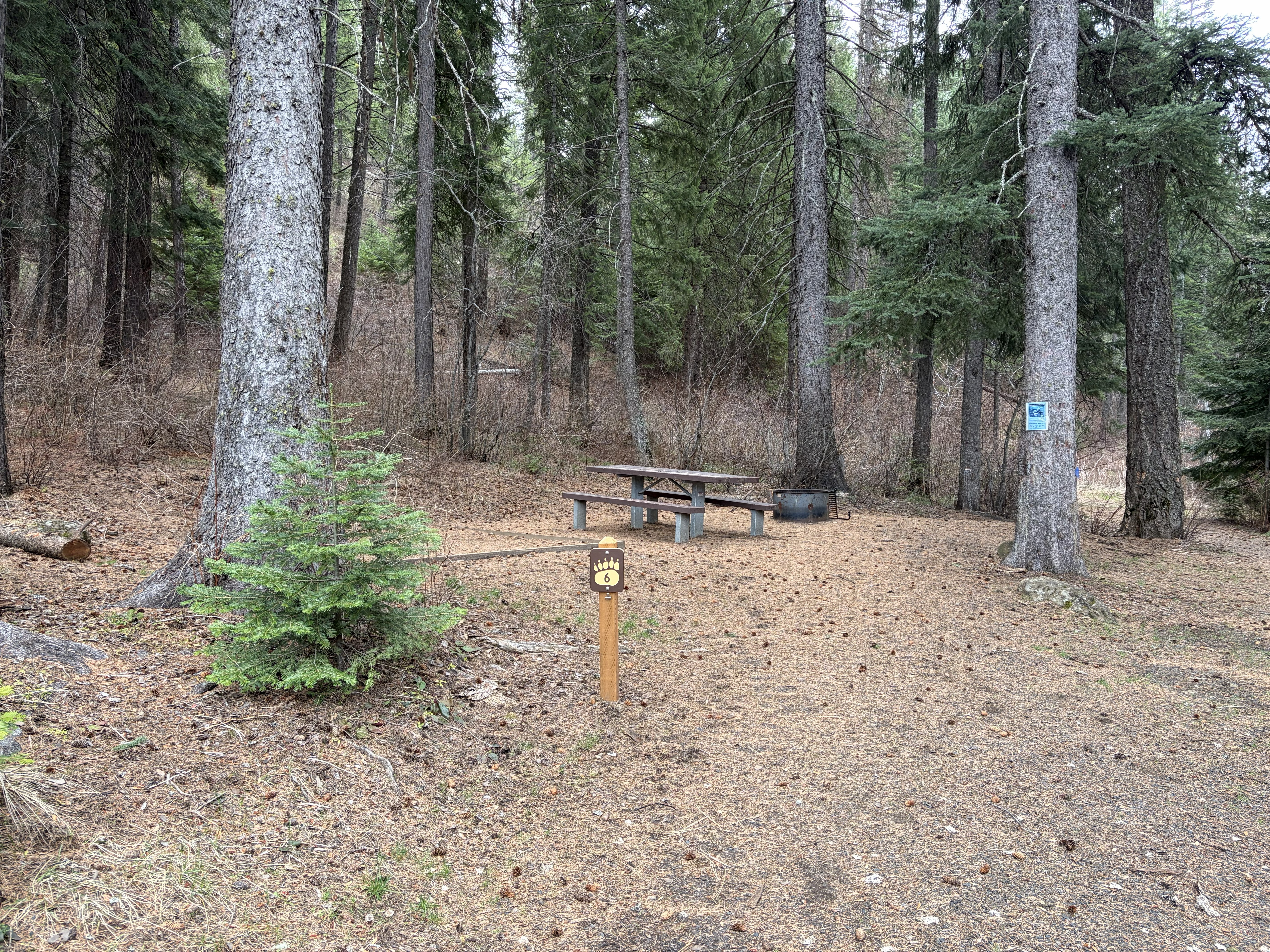 Evergreen Campground Campsites