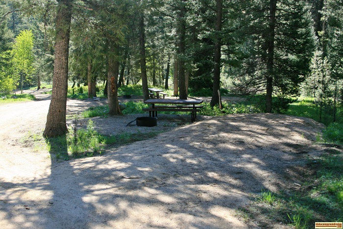 A campsite in Five Points Campground.