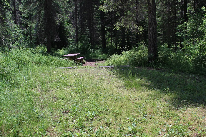 Fly Flat Campground on the St Joe River