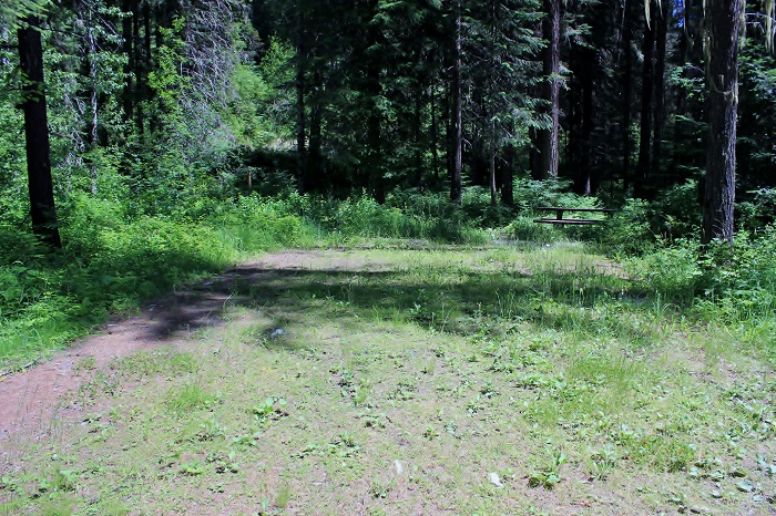Fly Flat Campground on the St Joe River