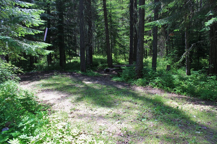 Fly Flat Campground on the St Joe River