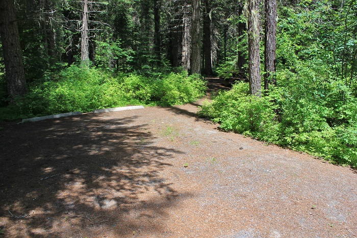 Fly Flat Campground on the St Joe River