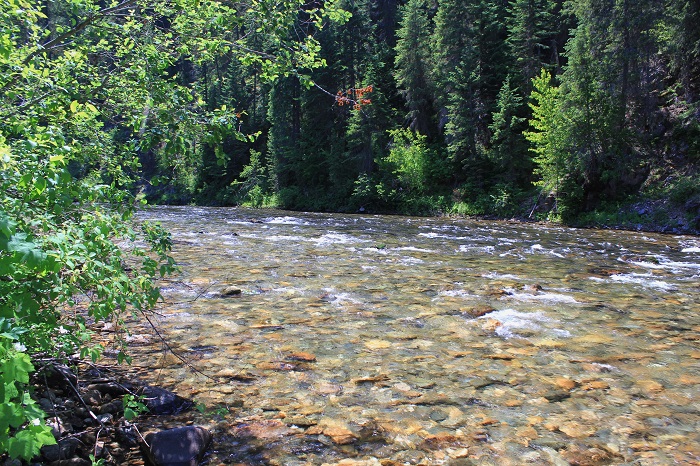 The St Joe River at Fly Flat Campground.

