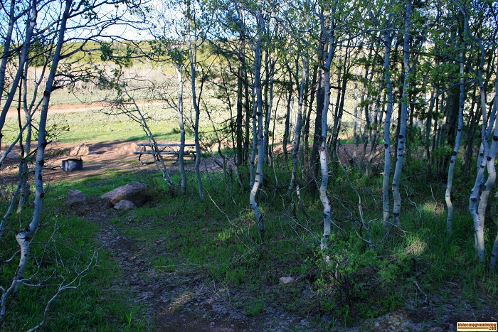 One of many campsites in FS Flats Campground.