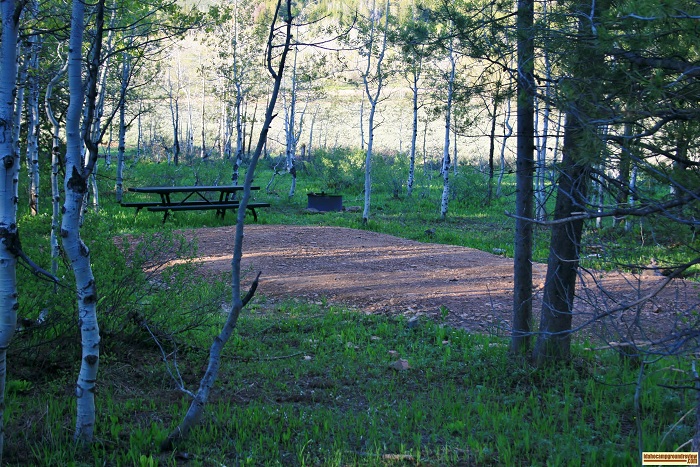 One of many campsites in FS Flats Campground.