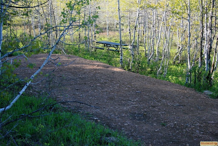 One of many campsites in FS Flats Campground.