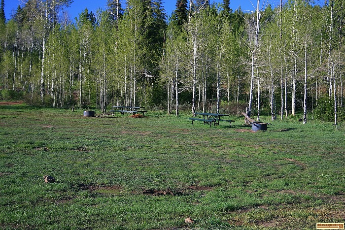 One of many campsites in FS Flats Campground.